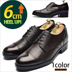 y6.0cm gUPzrWlXV[Y Y JWAV[Y [XAbv Xg[g`bv V{ V{ _I V[Nbg C\[ uE