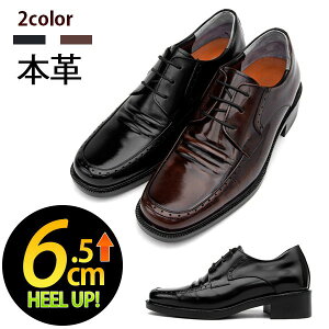 y6.5cm gUPzrWlXV[Y Y rWlX v[gD rWlXV[Y OH Y V[NbgV[Y amC Y q[Abv C