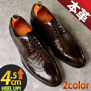 Y rWlXV[Y {v EBO`bv v[gD amC I[Xgb`^ NR^ ubN uE 4.5cmgAbv