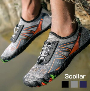 ANAV[Y Y fB[X bVf y ~ ̍ C tBbglX V[Y EH[LO AEghA  