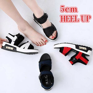 5cmgUP fB[X X|[cT_ xN Nbv Xgbv Ȃ ubN zCg bh u[