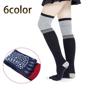 fB[X K\bNX K C j[nC\bNX ~ߕt 5{w\bNX N\bNX ₦΍ [ 