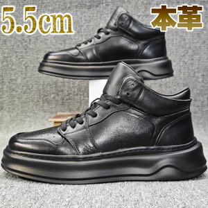 nCJbgXj[J[ Y {v v [XAbv JWA  Vv wȂ 5.5cm nCJbg lۂ X^CAbv ubN