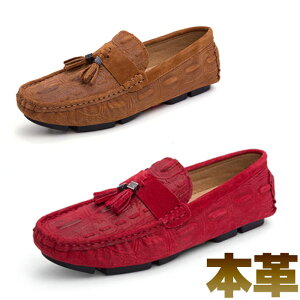 hCrOV[Y Y {v XG[h JV ^bZ JWAV[Y Xb| fB[X 23cm 28.5cm 