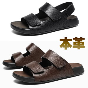 T_ 񂾂 Y {v EH[LOT_ hCo[T_ OT_ LvT_ AEghA񂾂 ėp uE ubN