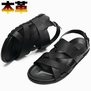 }`XgCvT_ Y U[ v OfBG[^[ obN NVbN {v ANXgbv  t 