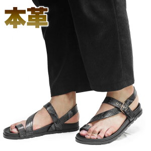 Y T_ X|[cT_ {v pC\ ֕ W[ l  OfBG[^[ 