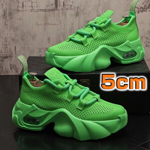 Xj[J[ fB[X Y {v \[ p`OH t  GANbV I Jt JWA J ₷ 5cmAbv O[ CG[ zCg