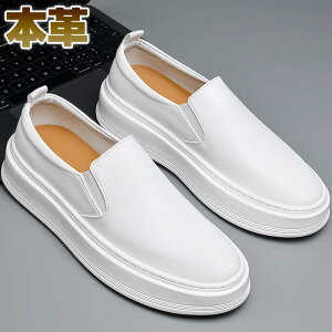 Xb| Y fB[X {v 4cm TChGXeBbN 27.5cm 28cm JWA TChSA Vv [Jbg ₷ ʋC ubN zCg