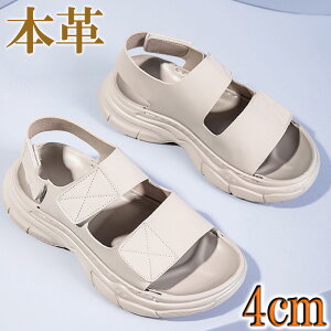 T_ Y fB[X U[{v  4cm }WbNe[v I[vgD   JWA C ubN zCg x[W