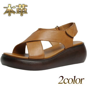 T_ fB[X {v tbgT_ NXfUC  r C i[XV[Y 6cm\[ 