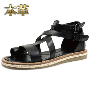 Y T_ OfBG[^[T_ {v  _uxg _炩 NXfUC 