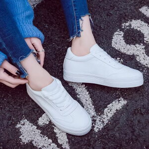 Xj[J[ Y fB[X w w Vv wZpXj[J[ ʊw  [XAbv zCg ւC\[1v[g