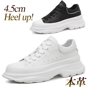 Y Xj[J[ [Jbg {v [XAbv NbV \[ wC w Z ʊw V[Nbg 4.5cmgUP 