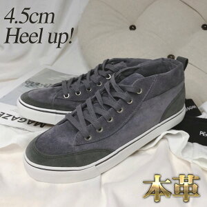 Y Xj[J[ XG[h {v ~hJbg O[ V[Nbg q[Abv oCJ[ V[Y C  4.5cm gUP