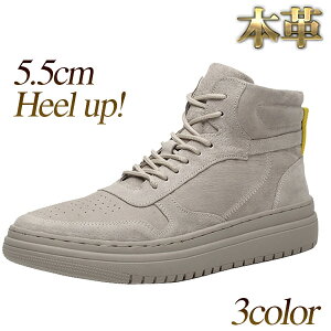 Xj[J[ Y nCJbg {v XEF[h XG[h  ThJ[ zCg L J[L V 5.5cmUP 