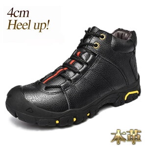 gbLOV[Y nCLOV[Y Y oRC {v AEghA Lv ʋC N Y fB[X ubN uE uE g4cmUP 