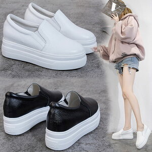 Xb| fB[X Xb| U[Xb| {v Ey ɂ ʋC g5.5cmUP 