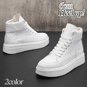 Xj[J[ Y nCJbgXj[J[ zCgubN oXPbgV[Y Vv V[NbgV[Y ʋC  6cmgUP 