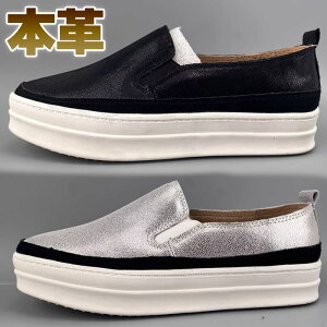 Xb| fB[X  {v ؊v U[ Xj[J[ JWA 3cm ؂ tbgV[Y Vo[  zCg vbgtH[ ₷