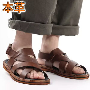 Y T_ {v OfBG[^[T_ xg NX  _uxg ubN uE _炩 Ȃ  T}[ 