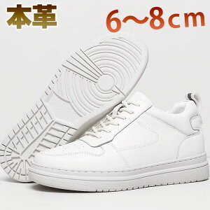 V[NbgXj[J[@Y [Jbg {v [XAbvV[Y Cq[ 6CM 8cmAbv zCg gAbv JWA h ^C 傫TCY