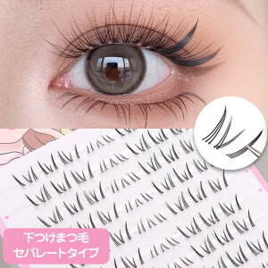 つけまつげ 下まつ毛 下つけまつげ 付けまつ毛 部分用 セパレート アイラッシュ ポイントアイラッシュ まつげエクステ ランダム束 10ペア入り 送料無料 メール便