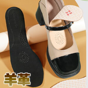 C\[ fB[X {v rv ^ pvX [t@[ EhgD |CebhgD A[hgD ebNX ʋC hL L z 22cm 25cm