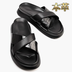 T_ Y {v XCh 3.5cm Xbp U[T_ NX NR X[X Rr wv ʋC _炩 O   W[ t 