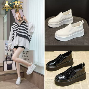 Xb| Xj[J[ fB[X {v NR  Gi JWAV[Y RȂ ubN zCg 7cmq[Abv 