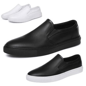 Xb| Y fB[X {v JWA TChSA Vv [Jbg ₷ ʋC ubN zCg 3.5cmUP