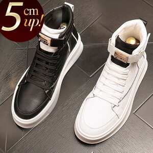 Xj[J[ Y fB[X nCJbg Xj[J[ [XAbv Vv LC S[hv[g  JWAV[Y ʋC  5cm gAbv