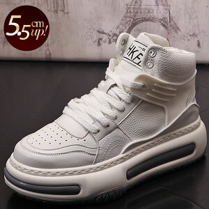 nCJbgXj[J[ Y  JWAV[Y ʋC  5.5cmgAbv zCg uE ubN