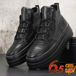 Xj[J[ Y nCJbgXj[J[ gh JWAV[Y ʋC  6.5cmgAbv