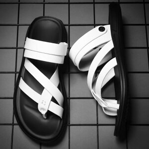 T_ Y U[ OfBG[^[    ubN zCg ₷ NXXgbv