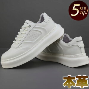 Xj[J[ Y {v wv  t   zCg [XAbv l Vv V[Nbg q[Abv 5cm gAbv