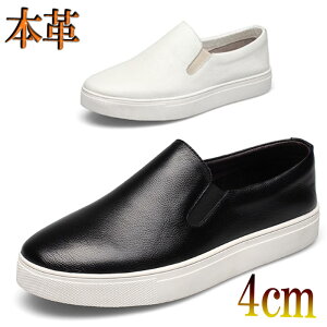 Xb| Y {v v Xj[J[Y Xb| YC C V[Y zCg ubN   JWA i Cy4cm z