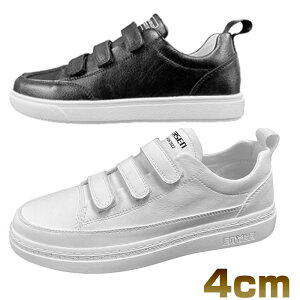 Xj[J[ Y [Jbg {v xN }WbNe[v JWA zCg ubN 4cm gUP 