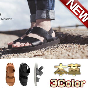 T_ Y fB[X    AEghA r[` C U[T_ Y {v  