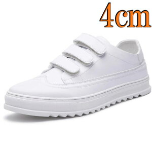 U[Xj[J[ JWAXj[J[ ejXV[Y V[NbgV[Y Y  4cmUP