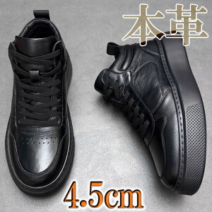 Xj[J[ Y nCJbgXj[J[ {v U[ lC  JWAV[Y ubN zCg g5cm