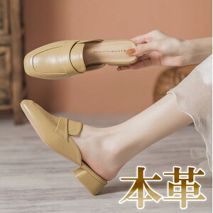 [t@[ fB[X RC[t@[ {v U[ t  V XNGAgD ƂȂ ou[V 3.5cm 4cmq[ ubN uE x[W