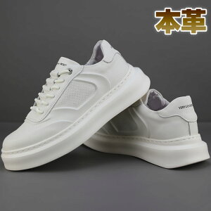 Xj[J[ Y {v x[VbN zCg   JWA X^C ŐVgh V[Y amC 4.5cm gAbv