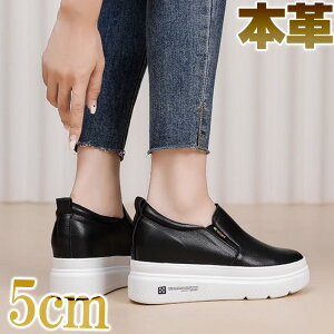 fB[X Xb| {v U[ V t  H ~ ubN zCg 5cm  Vv