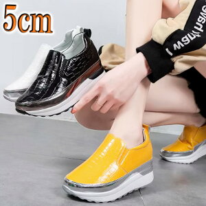 Xb| [fBX 5cm  NR^ Xj[J[ q[Abv r JWAV[Y 傫TCY    ₷ TCY [q[ tbg Ȃ Xb| 