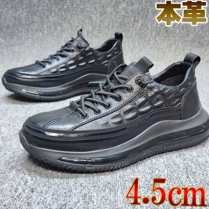 Xj[J[ Y fB[X _C RȂ Gi nCeNXj[J[ X|[cV[Y u[ ubN yʃXj[J[ g4.5cmAbv