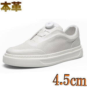 Xj[J[ Y [Jbg {v zCg  p`OH _CV[Y  E C[W[ V[NbgXj[J[ 4.5cm
