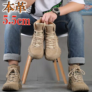 nCJbg Y Xj[J[ {v XEF[h XG[h [Nu[c AEghA V VRv 5.5cmAbv