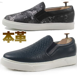 Xb| Y {v v Vv V[NbgV[Y NR pC\ O[ lCr[ bh TChSA ubN zCg g4cmUP