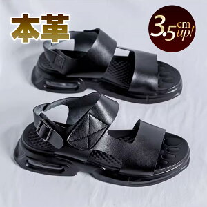 T_ Y XgbvT_ {v  W[ t  xN ɂ GANbV ubN g3.5cm 